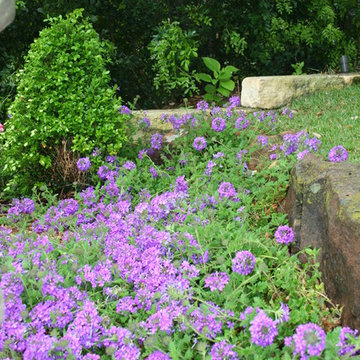 Traditional garden in Northwest Hills