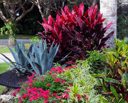 Tropical Landscape Ideas, Designs, Remodels & Photos