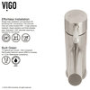 VIGO Noma Single Hole Single Handle Bathroom Sink Faucet, Brushed Nickel, With Deck Plate