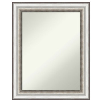 Salon Silver Non-Beveled Wall Mirror - 23.25 x 29.25 in.