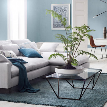 Interior Painting Projects