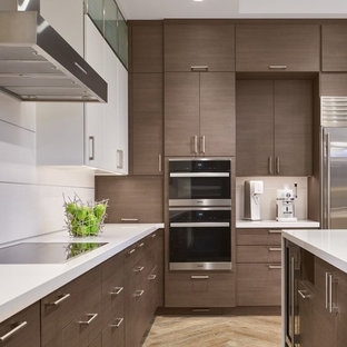 Chicago Lakefront Renovation