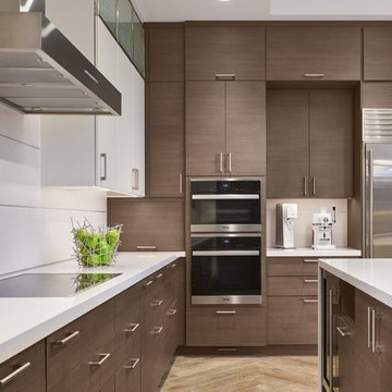 Chicago Lakefront Renovation