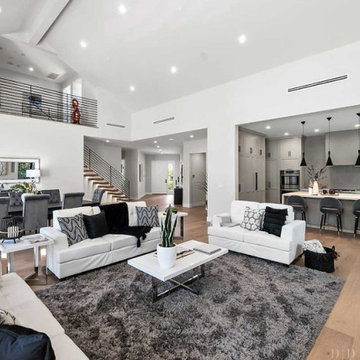 Contemporary meets Modern in Oak Park