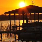 Camille Rodgers's photo