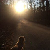 Ethan Duffey's photo