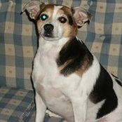 Sandi Templin's photo