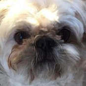 Mendy Fortin's photo
