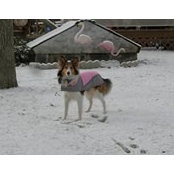 Foto von Donna Behr