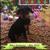 Katie Kosteriva's photo