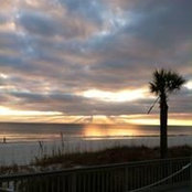 Kim Davidson's photo