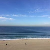Amelie Miles's photo