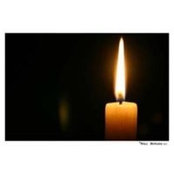 Desislava Pavlova's photo
