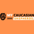 Caucasian shepherds Puppy's profile photo
