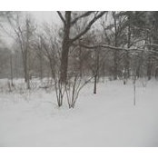 Tracy Cooper's photo