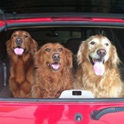 Photo de Ken Hess