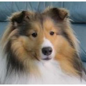 Pat Foskie's photo