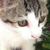 Diane Linkous's photo