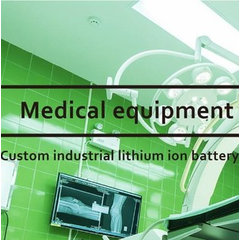 Custom Lithium ion Battery Pack