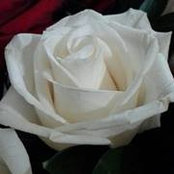 Dawn Payne Campleses billede