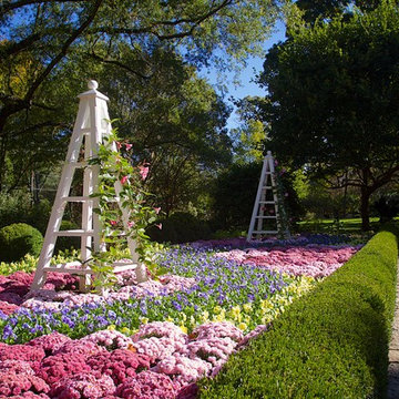 Autumnal Display Garden