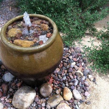 University Native Garden