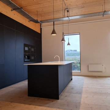 Fenix NTM contemporary kitchen with island.