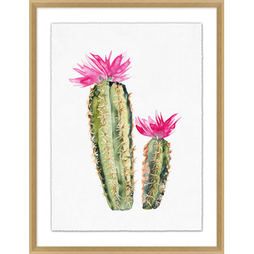 Pink Blooming Cacti 1
