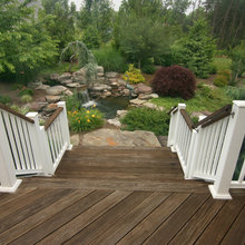 Pond Ideas