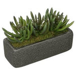 House of Silk Flowers, Inc. - Artificial Green Senecio Garden in Black Sandy-Texture Rectangle - You will never have to worry about caring for your succulents again with this artificial senecio garden handcrafted by House of Silk Flowers. This arrangement features a grouping of artificial senecio "potted" in a sandy-texture ceramic vase measuring 11" wide x 4" deep x 4.25" tall. The senecio have been arranged for 360*-viewing. The overall dimensions are measured leaf tip to leaf tip, from the bottom of the planter to the tallest leaf tip: 11" wide X 4.5" deep X 7" tall. Measurements are approximate, and will be determined by your final shaping of the plant upon unpacking it. No arranging is necessary, only minor shaping, with the way in which we package and ship our products. This product is only recommended for indoor use.