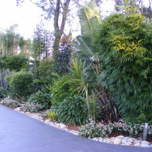 Driveway Ideas