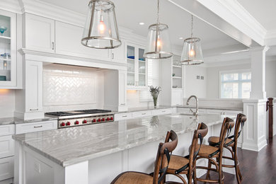 Kitchen - transitional kitchen idea in Chicago