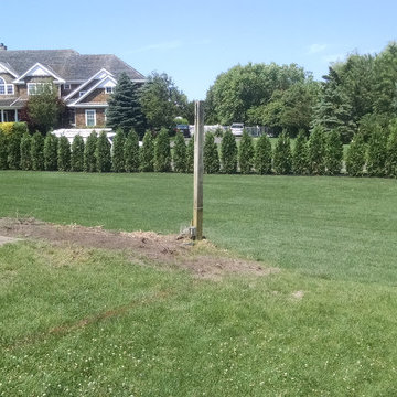 Sod Installation, Brush Removal, Planting, Mulching and Trimming