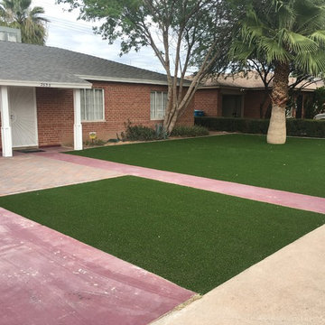 Artificial Grass