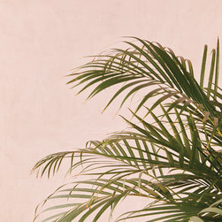 Vivid Wallpaper Collection - Wallpaper
