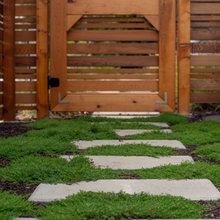 Exterior Ideas