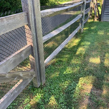 Back Yard And fence