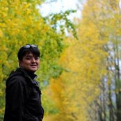 Travis Chan's photo