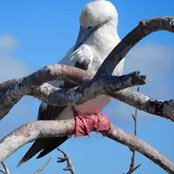Cathy Deitch's photo