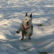 Jacky Russell's photo