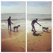 Roberto Macerelli's photo