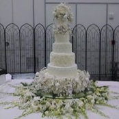 Debbie Griffin's photo