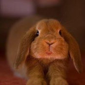 Lynn Belden's photo