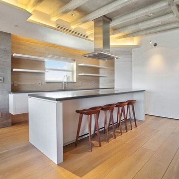 Collins Avenue Kitchen Renovation