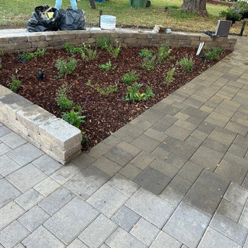 Backyard Remodel & Driveway