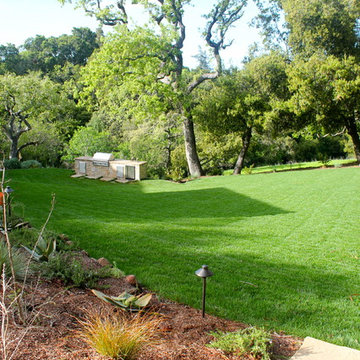 Our Work