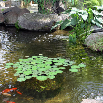 Our Acre of Beauty