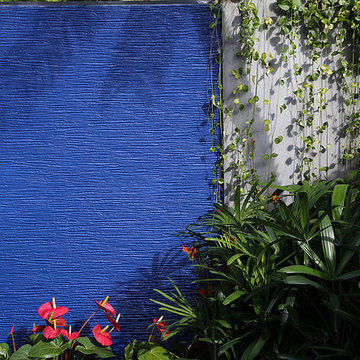 Modernist Brazilian Garden
