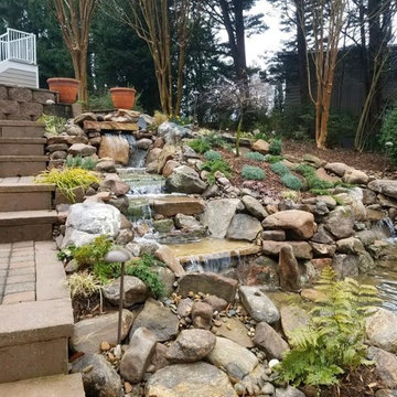 Our Work