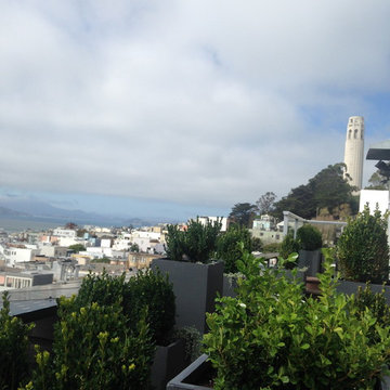 Telegraph Hill Roof Top Garden